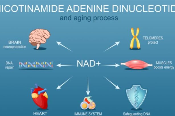 Nicotinamide