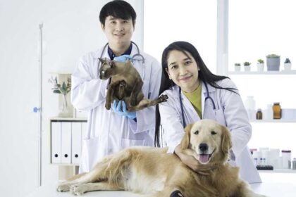 Veterinary