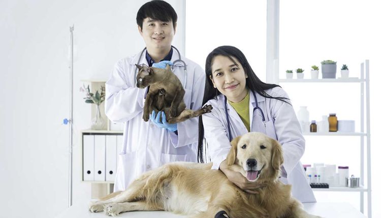 Veterinary