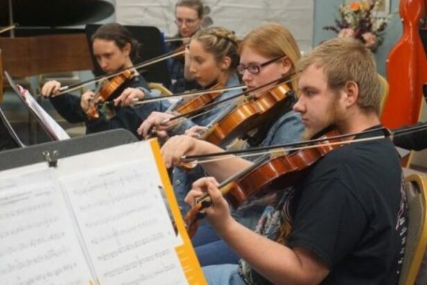 Violin