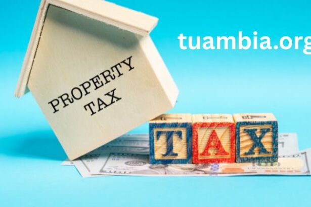 Property Tax