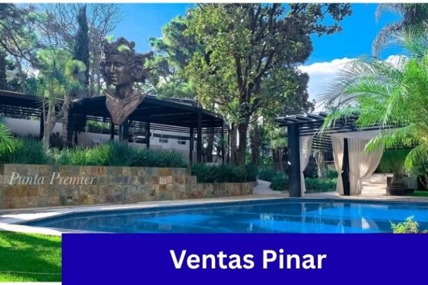 Ventas Pinar