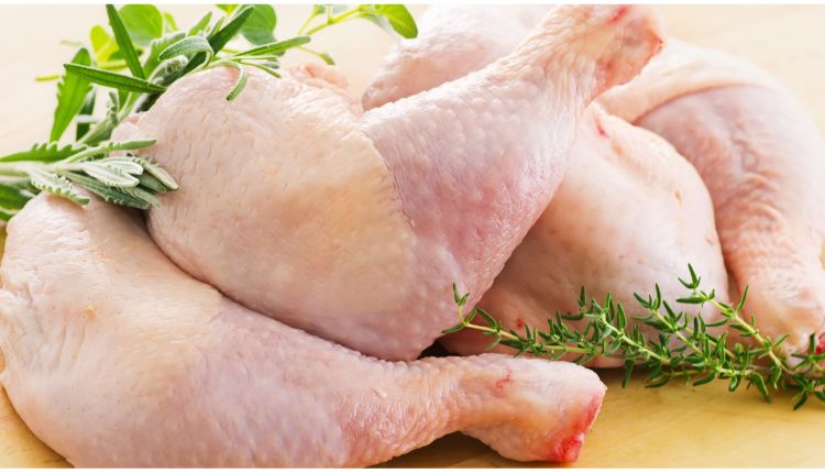 Muslo de Pollo in English